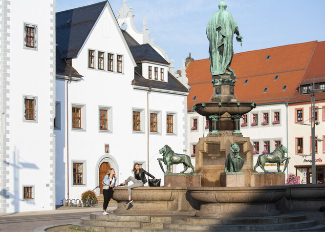 Der Freiberger Obermarkt mit seinem Stadtbrunnen