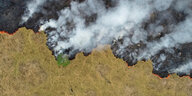 Luftaufnahmedes brennenden Regenwaldes