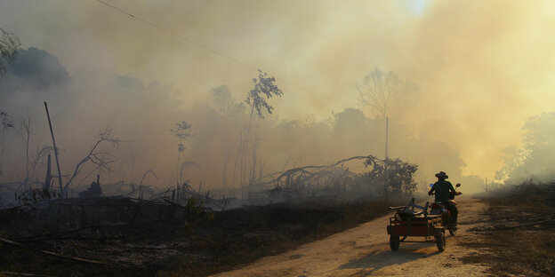 Mann auf Motorrad mit Anhänger fährt auf einem staubigen Weg auf brennender Wälder zu
