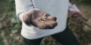 Einen Hand im Gartenhandschuh hält einen Keimling