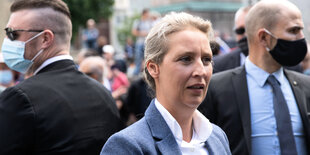 AfD-Politikerin Alice Weidel auf einer Demonstration