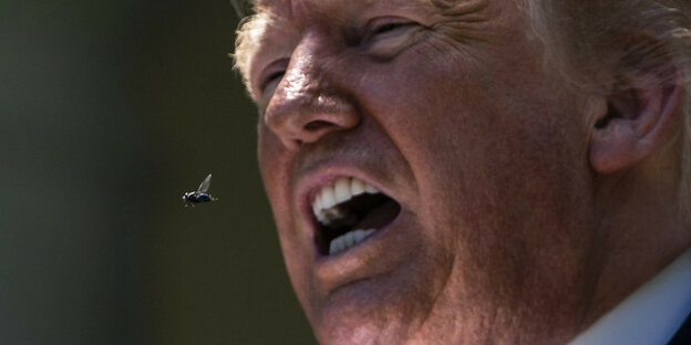 Eine Fliege vor dem offenen Mund von Donald Trump.