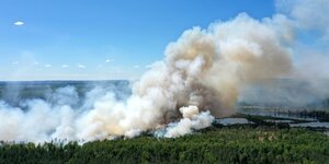 Rauchwolken über dem brennenden Loben-Moor in Brandenburg