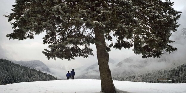 Ein Paar spaziert auf einem verschneiten Hügel. Im Vordergrund ist ein großer Baum zu sehen, im Hintergrund andere Berge.