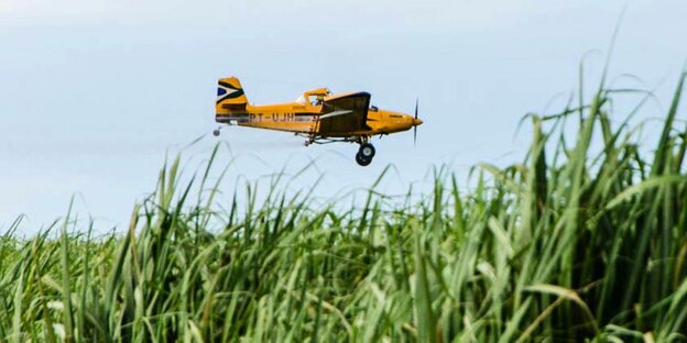 Flugzeug beladen mit Pestiziden zur Schädlingsbekämpfung fliegt über ein Feld