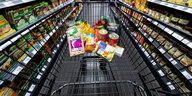 Ein wenig gefüllter Einkaufswagen seht zwischen Regalen im Supermarkt