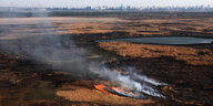 Feuer und Rauch entlang des Parana Fluss, im Hintergrund die Skyline einer Stadt