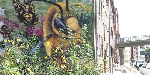 Ein großes Auftragsgrafitti an einer Wand in Kiel zeigt Bienen und Schmetterlinge in Nahaufnahme auf einer Blumenwiese; davor wachsen echte Wildblumen, wie etwa Löwenzahn