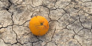 Eine Orange liegt auf dem vertrockneten Ackerboden