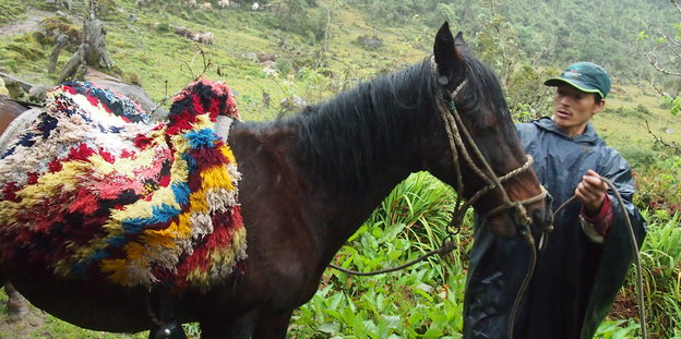 Pferd in Peru
