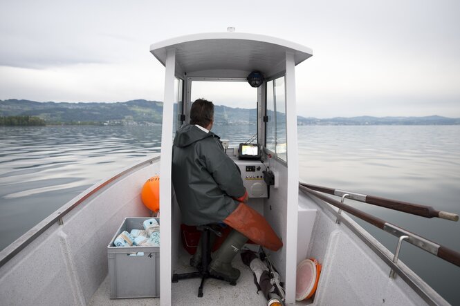 Fischer auf dem Bodensee