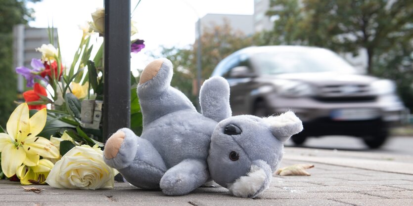 Am linken Bildrand sieht man einen Plüschkoala und ein paar Blumen auf dem Asphalt neben der Stehle einer Bushaltestelle. Im Hintergrund rechts sieht man ein fahrendes Auto auf der Straße.