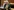 Senatorin günther steht im Parlament