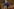 Hasmine Mohamedhosen hat ein Foto ihres ermordeten Bruders aus London mitgenommen