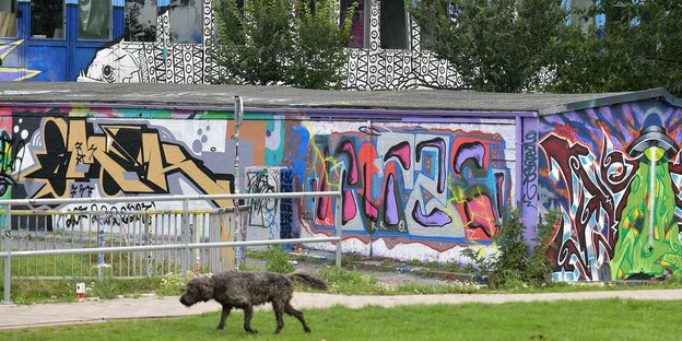 Ein Hund geht am Alten Sportamt vorbei, das derzeit wegen Corona Betriebspause hat