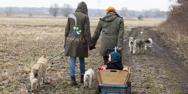 Ein lesbisches Paargeht macht Kind im Bollerwagen und drei Hunden einen Spaziergang