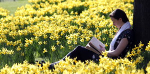 Frau mit Buch in Blumenwiese