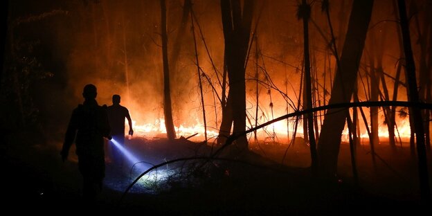Brennende Bäume und Männer mit Lampen