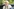 Die Bundesfamilienministerin Franziska Giffey ist blond und trägt ein weißes Oberteil mit schwarzen Punkten. Sie steigt gerade aus einem schwarzen Auto. Giffey ist 42 Jahre alt.