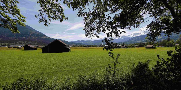 Eine grüne Wiese bei Garmisch-Partenkirchen