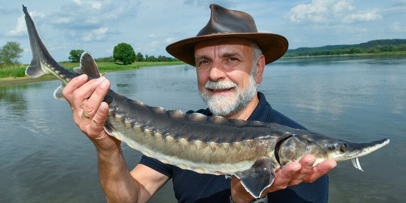 Ein Mann häleinen Stör in der Hand, im Hintergrund das Flusspanorma der Oder nahe Cirewen bei Schwedt in Brandenburg