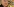 Fifa-Präsident Blatter mit aufgerissenen Augen vor dem WM-Pokal