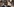 Portrait von Denis Mukwege