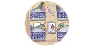 Illustration: Auf allen Balkons eines Hauses nistet eine überdimensionierte Taube. Hinter einem Fenster sieht man einen wütenden Mann