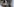 Wildschwein schaut dich an