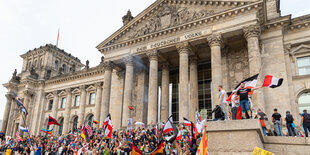 Rechte Demonstrant*innen vor dem Bundestag am 29. August 2020