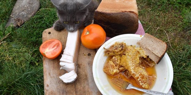 Ein Tisch mit Speck und Suppe und eine Katze