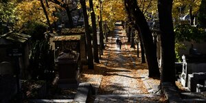 Zwei Menschen gehen einen abschüssigen Weg auf einem Friedhof