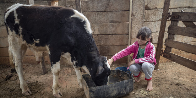 Ein Kind streichelt eine Kuh.