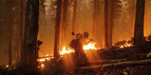 Zwei Menschen gehen durch einen brennenden Wald.