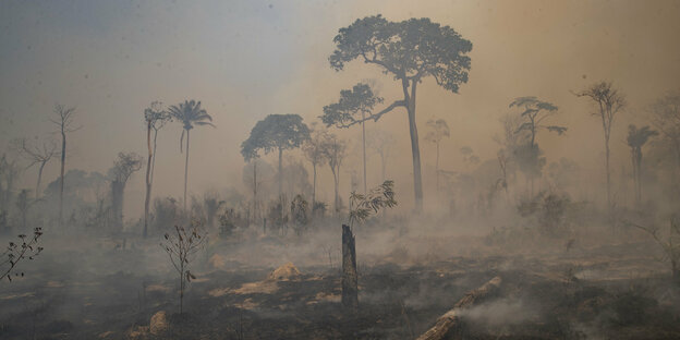 Brasilien, Novo Progresso: Rauch steigt während eines Brandes im Amazonas-Gebiet auf.