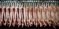 Halbierte Schweine hängen in einem Schlachthof an den Haken