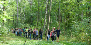 Menschen gehen hintereinander durch einen Wald