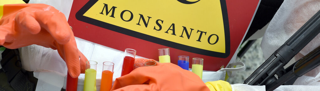 Monsanto ist der größte Saatguthersteller der Welt und ist Marktführer bei gentechnisch veränderten Pflanzen.