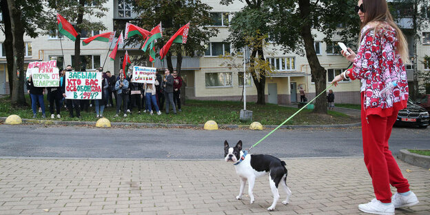 Eine Frau geht in Minsk mit ihrem Hund spazieren. Im Hintergund ist eine Gruppe pro Lukaschenko Demonstranten.