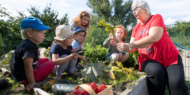 Kinder und Erziherin gucken Gemüse an