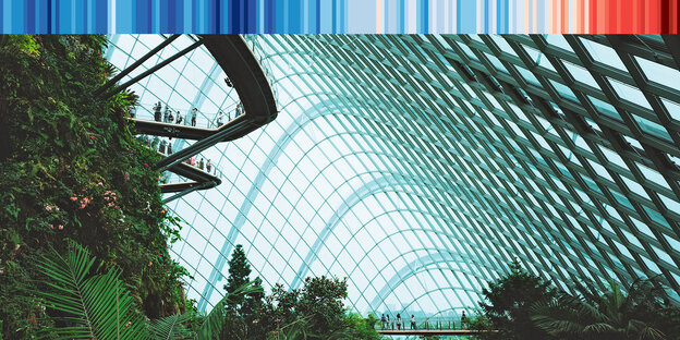 Pflanzen, eine riesige Glaswand und eine Brücke in großer Höhe - ein Gewächshaus in Singapur
