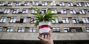 Eine Hand hält eine Topfpflanze in einem weiß-roten Übertopf, im Hintergrund ist ein Gebäude mit vielen Fenstern zu sehen