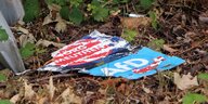 Ein abgerissenes AfD-Plakat liegt im Laub auf dem Boden