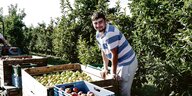 Yevhenii Bespalov steht auf einem Anhänger mit vollen Apfelkisten.