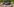 Ein Laptop mit geöffnetem Videochatprogramm steht auf einem Balkon
