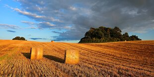 Ein abgeerntetes Feld mit Strohballen in der Abendsonne