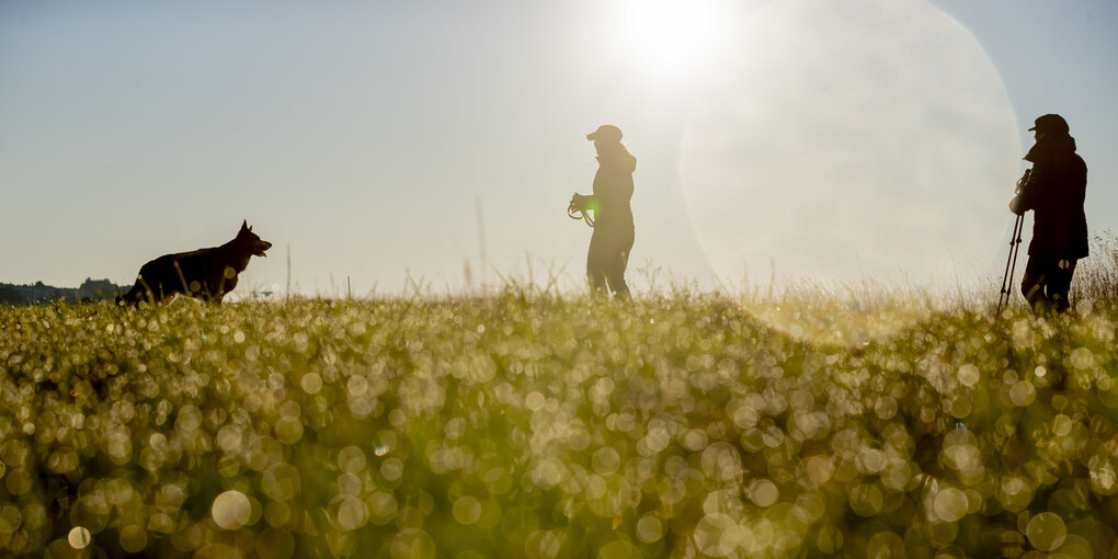 Spaziergänger mit Hund gehen im Licht der Morgensonne auf dem Tempelhofer Feld