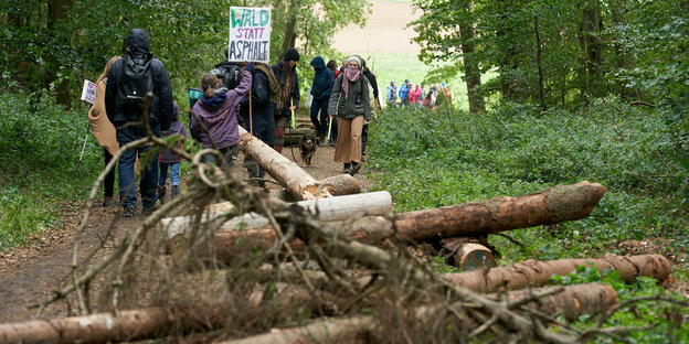 Kundgebung gegen die Rodung des Dannenröder Walds