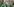 Drei Demonstrant:innen in grüner Kleidung stehen halten Plakate vor ihrem Körper, darunter eines mit der Aufschrift "Wald statt Asphalt". Hinter ihnen stehen zahlreiche weitere Menschen mit einem großen Banner, darauf steht "Klimanotstand anerkennen"