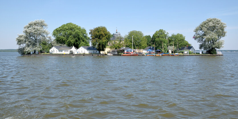 Blick vom Ufer auf die baumbestandene Insel